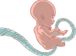Alex Muller-Nicholson:  The Unkind Chord Of An Umbilical Cord