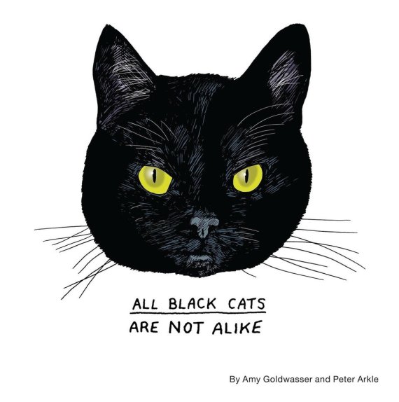 black cats