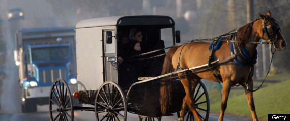Amish Bernie Madoff