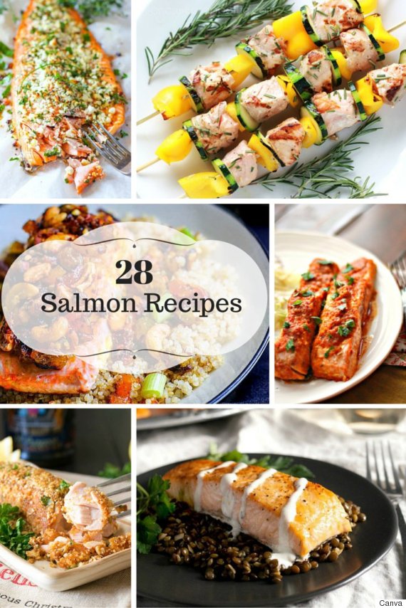salmon recipes