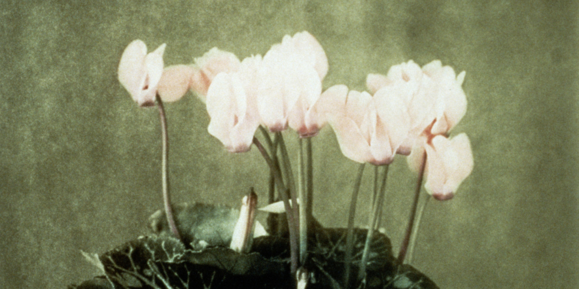 The Gift I Received For My Miscarriage HuffPost