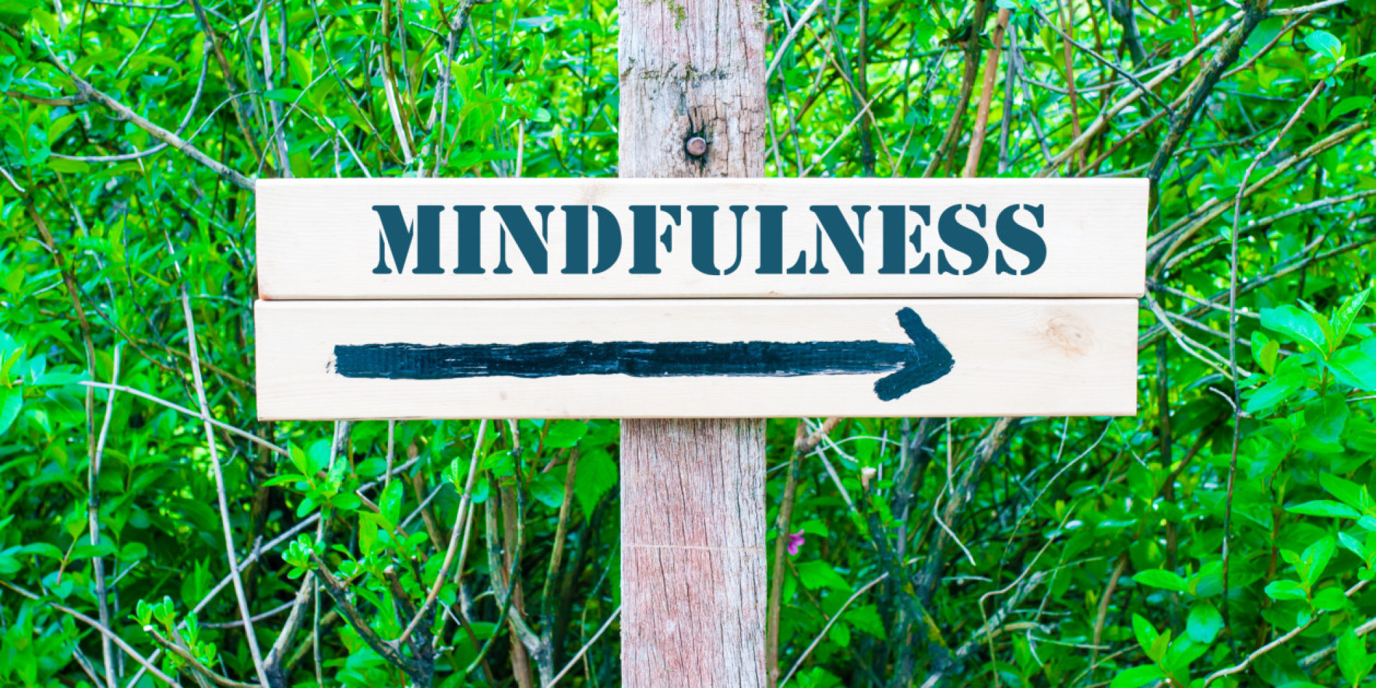 100 Mindfulness Meditations Book Review - Huffington Post