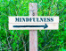 100 Mindfulness Meditations Book Review