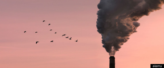 Pollution Lung Cancer