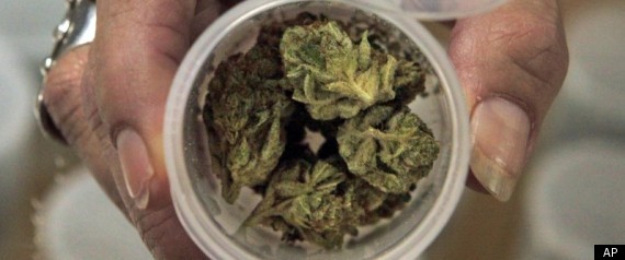 Medical Marijuana