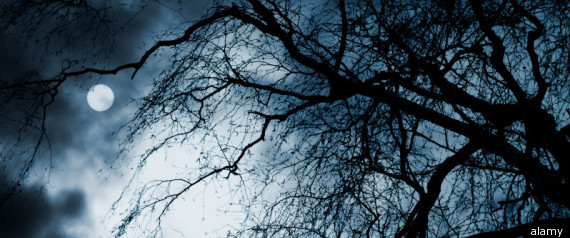 Halloween Afraid