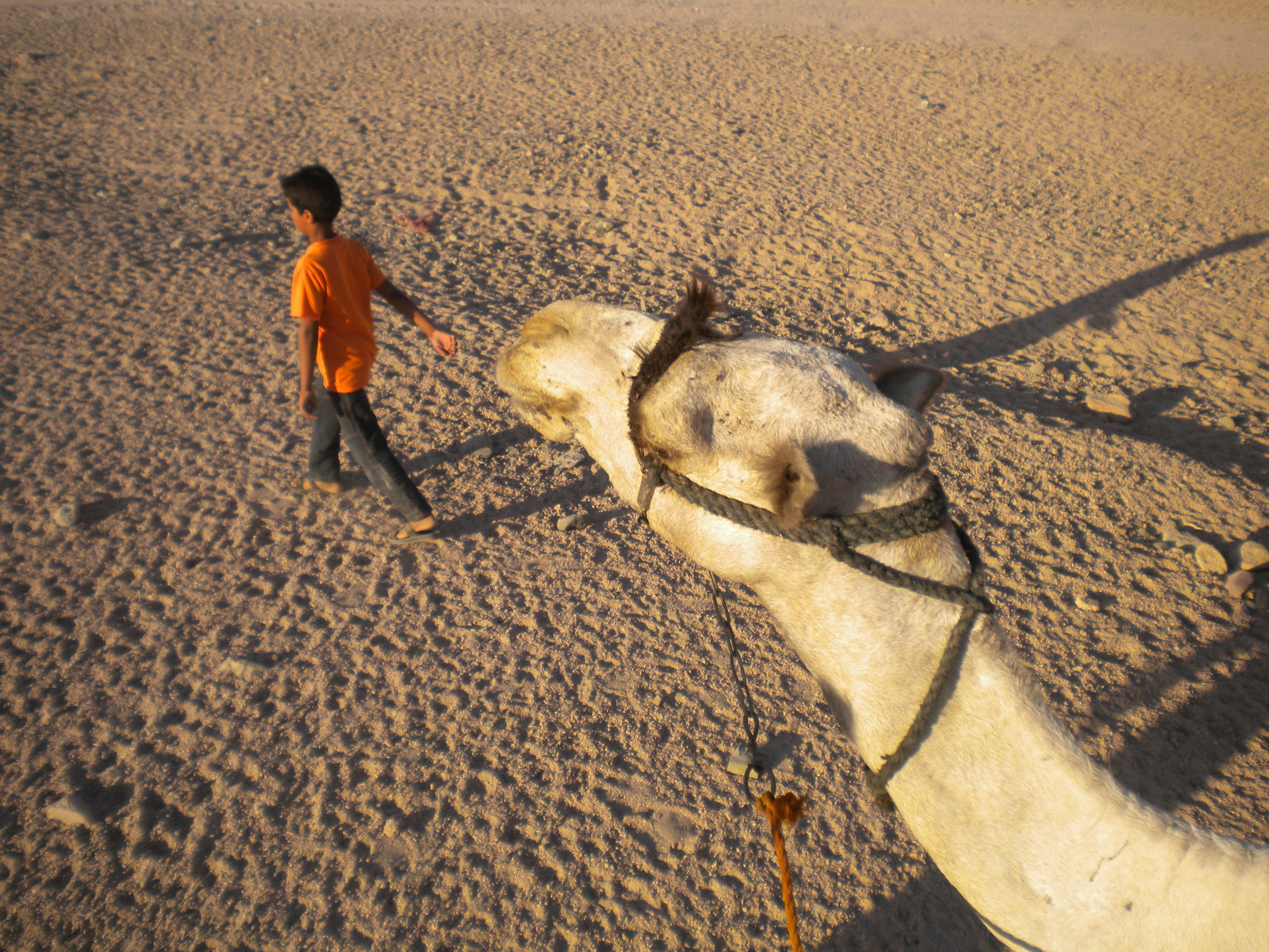 egypt
