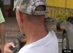 Hug A Gator