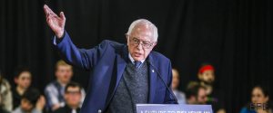 bernie