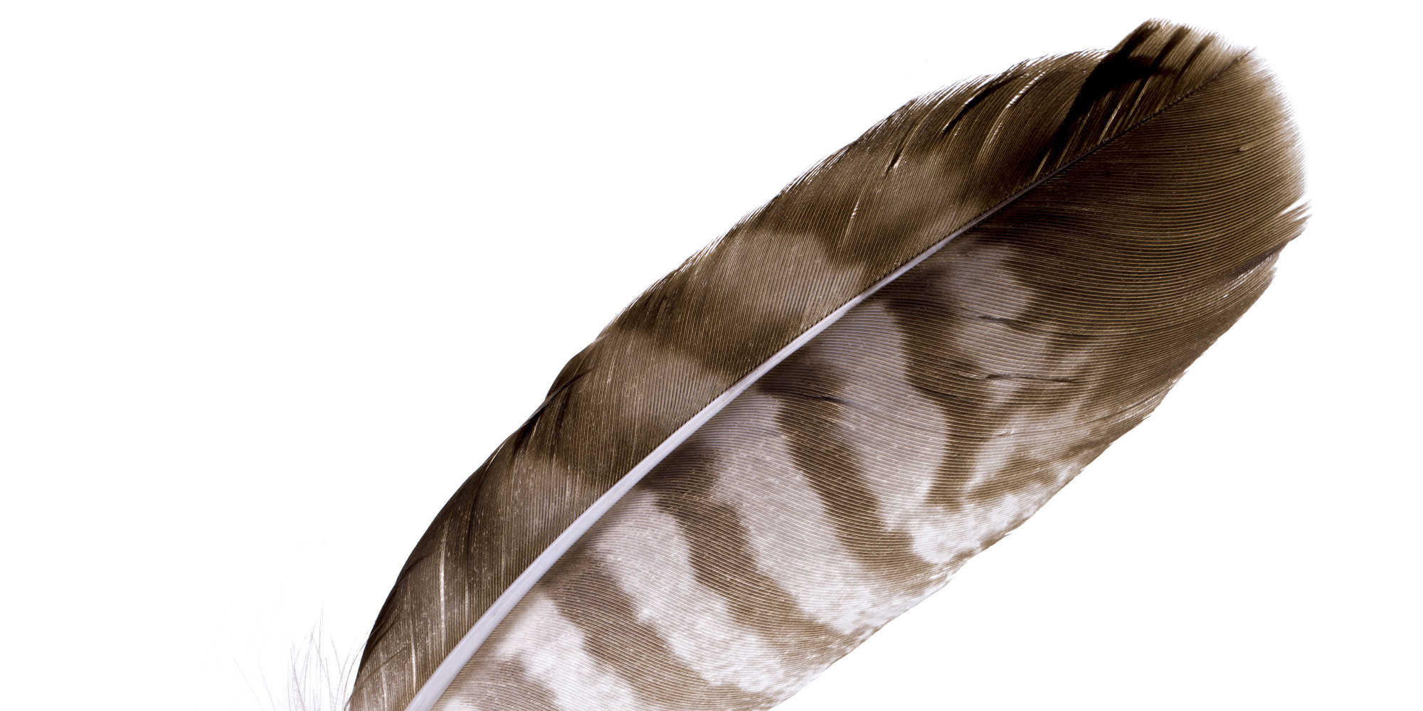 A Campaign to End AIDS With Vodka Bottles, Chicken Feathers, and Modern