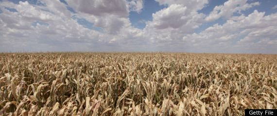 Texas Drought 2011 Power Projects