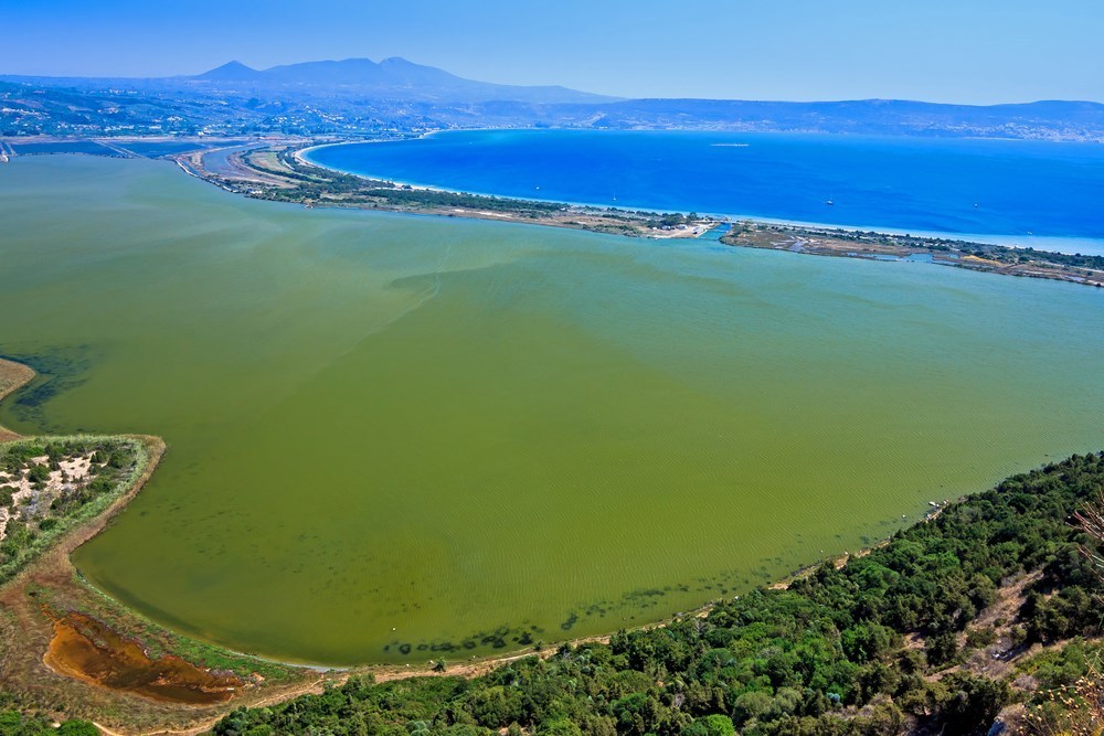kalamata