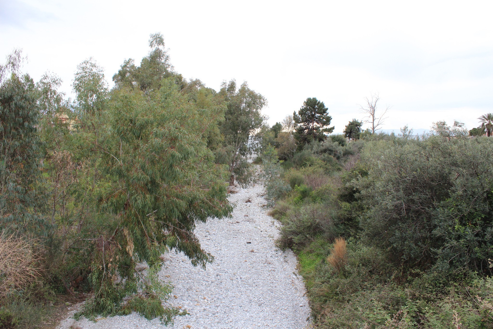 messinia