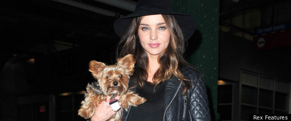 Miranda Kerr And Dog Frankie