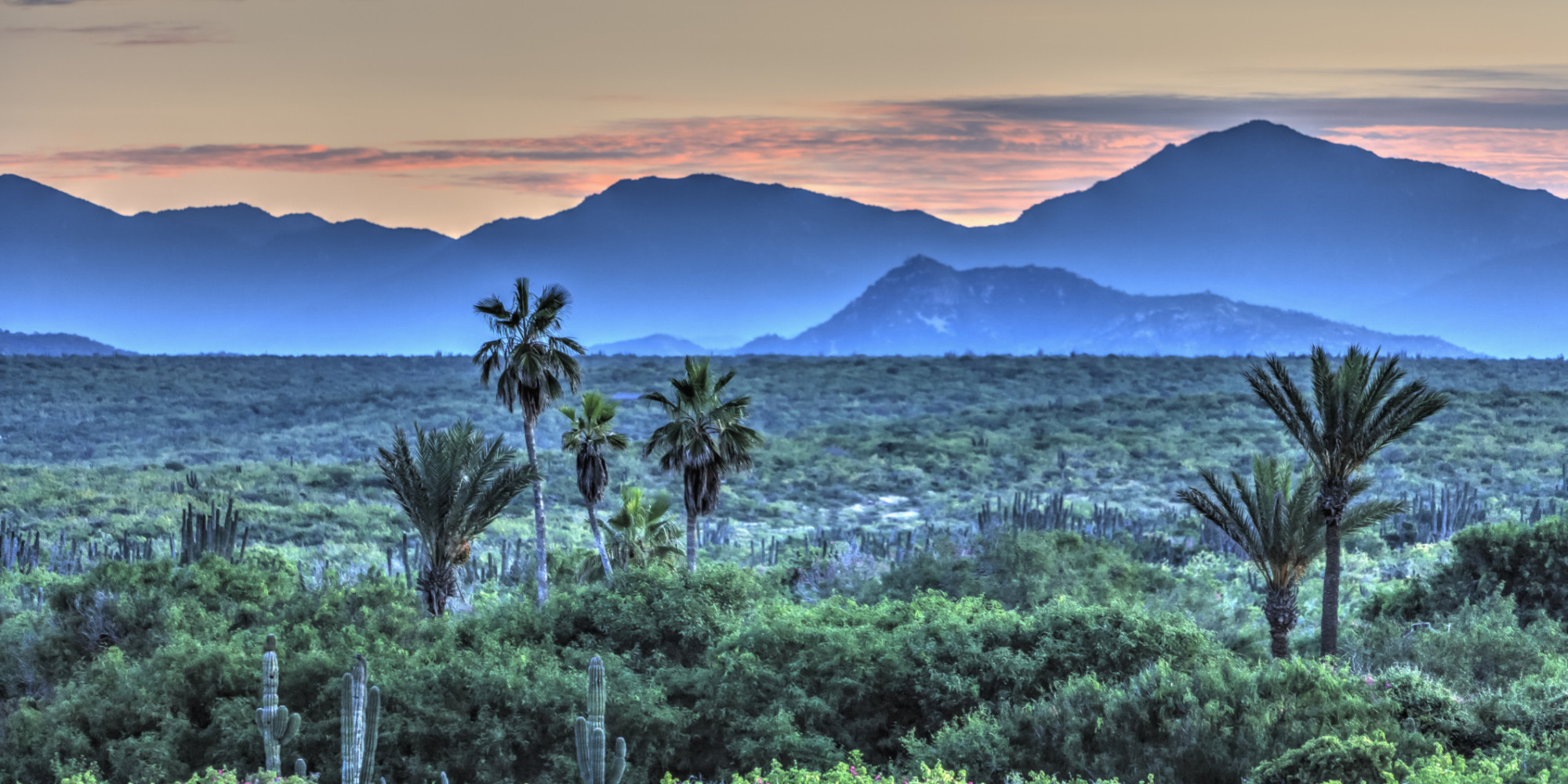 Baja, Mexico Is The Ultimate Road Trip | Flight Network