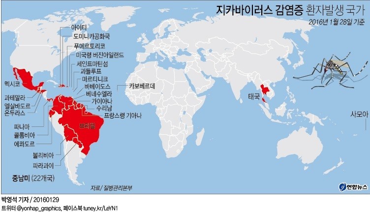 그래픽바이러스 이미지