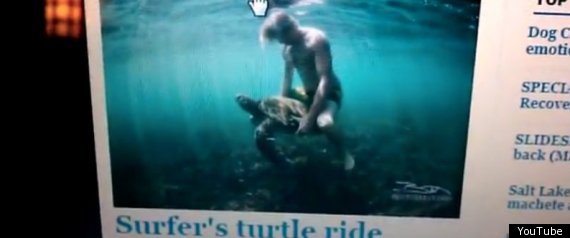 Jamie Obrien Rides Turtle