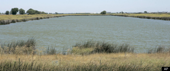 Sacramento River Delta