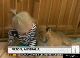 WATCH: Lion Cub And Toddler Play In Crib