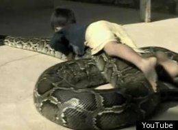 The 6 Most Incredible Real World Beast Masters