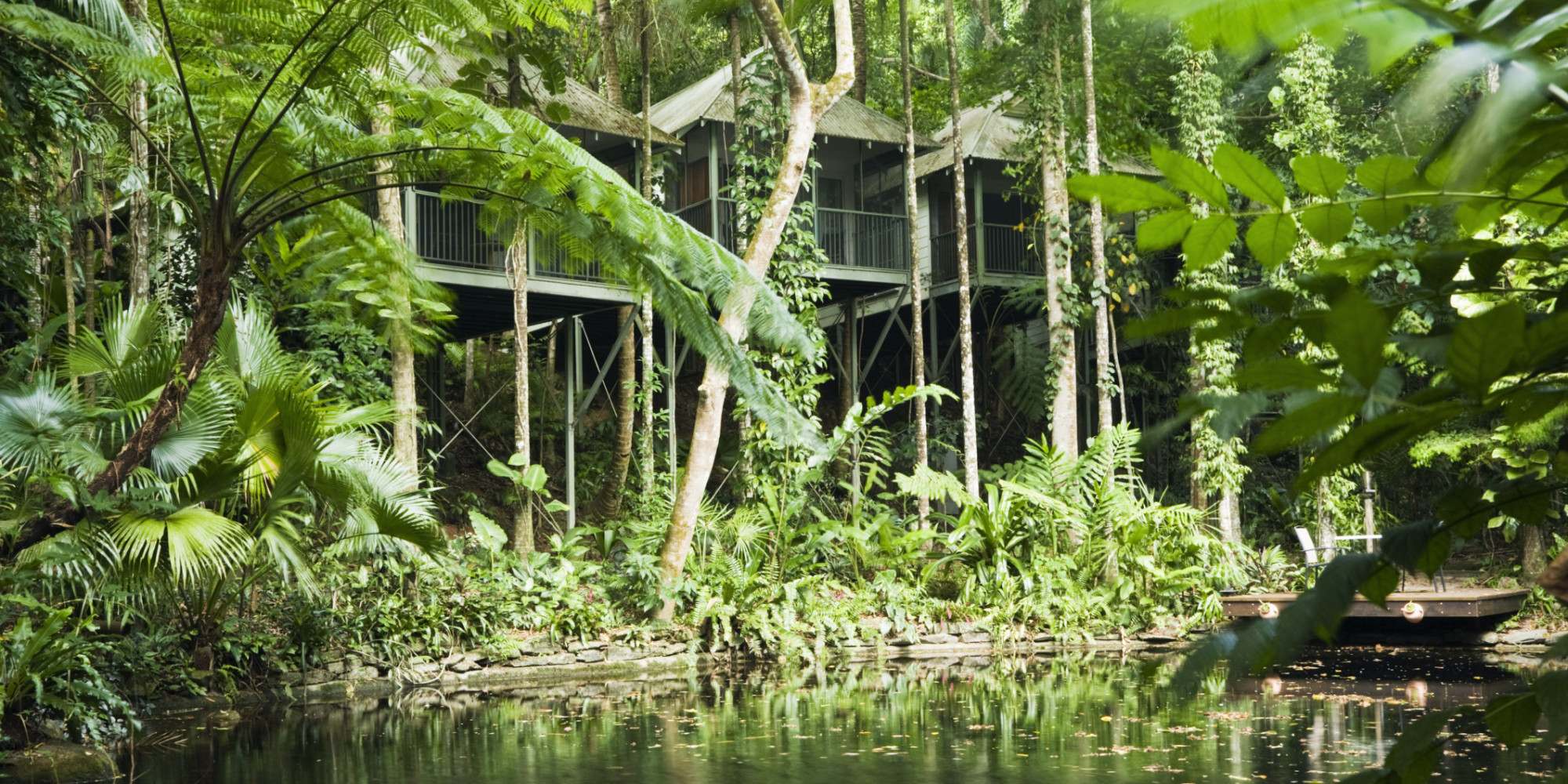 Australia's Best Jungle Escapes