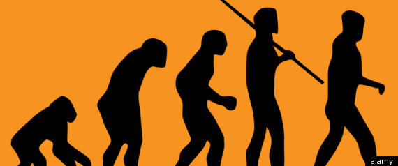 Talk Nerdy To Me Evolution Of Homosexuality