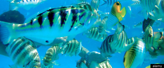 Underwater