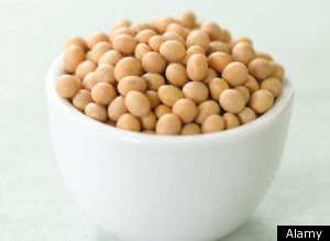 Soy Prison