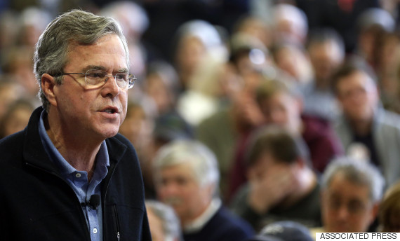 jeb bush