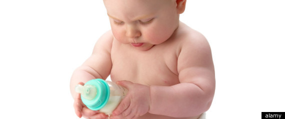 Infant Formula