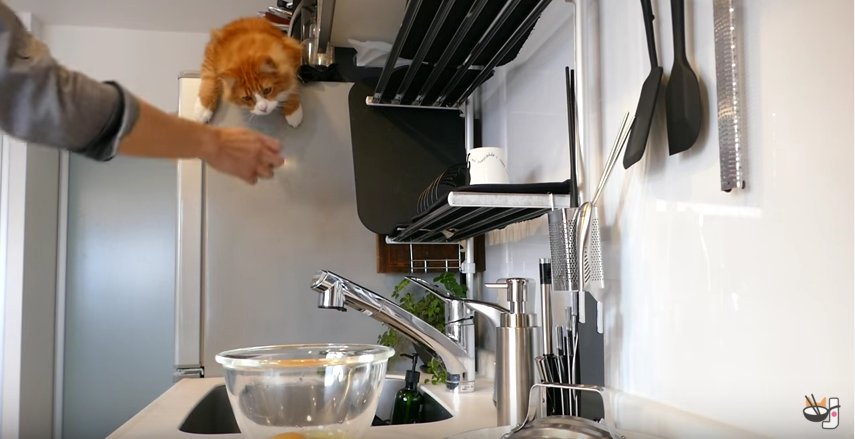 junskitchen