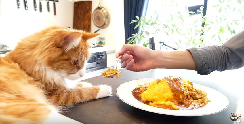 junskitchen