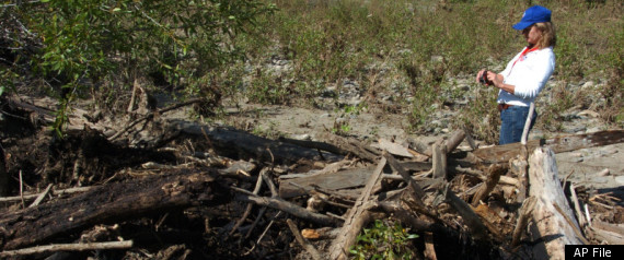Yellowstone Oil Spill Debris