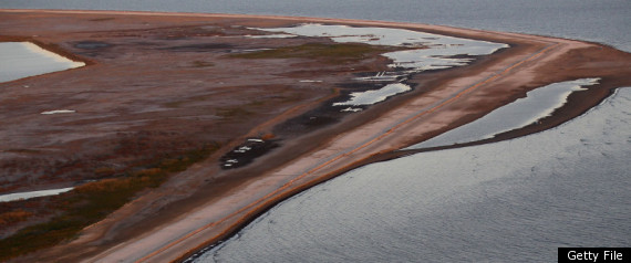 Bp Oil Spill Cleanup