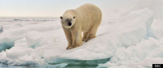 Frozen Planet