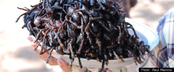 Weird Delicacies From Around The World