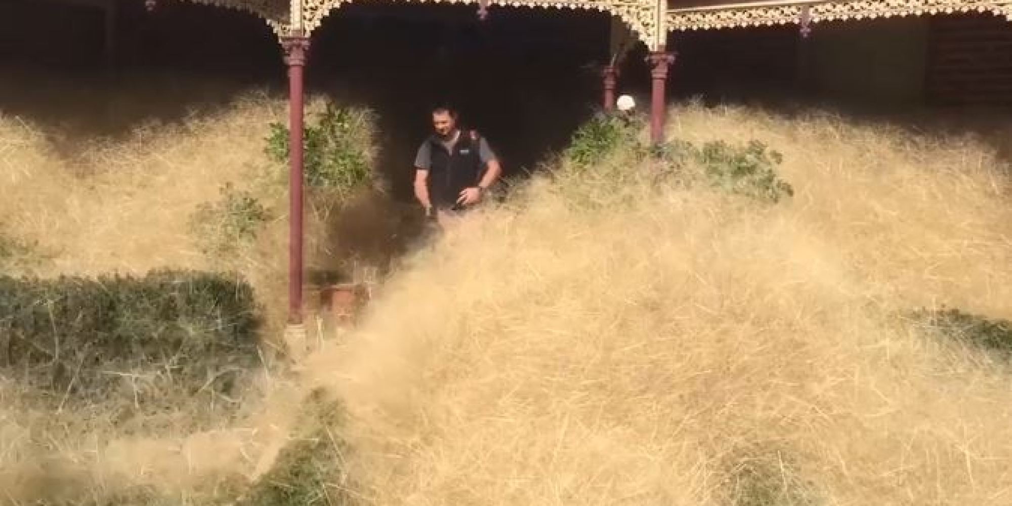 Giant Tumbleweed Takes Over Australian Town EarthTripper