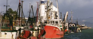New Zealand Fishing Fleet