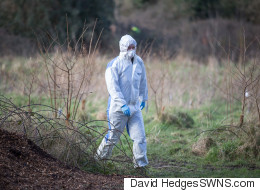 Severed Human Foot Found By Dog Walker In Park