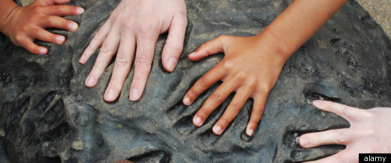 No Child Left Behind Minorities