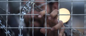 refugiados