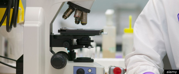 Stem Cell Heart Failure