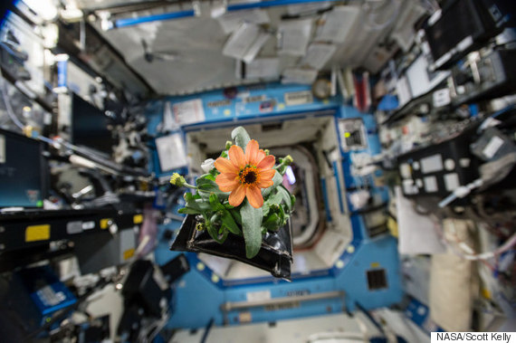 USA  space-endurance champ says he could do another year