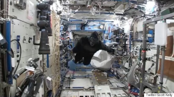USA  space-endurance champ says he could do another year