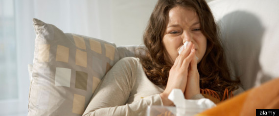 British Allergic To Homes