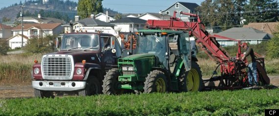 Bc Agricultural Land
