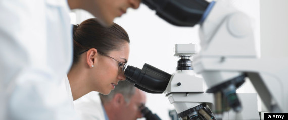 Geron Stem Cell