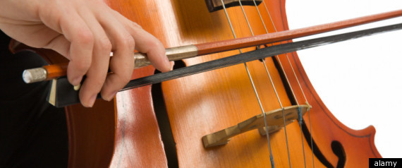 Cellist Memory Wiped Out