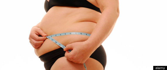 Obesity Advisory Groups Disbanded