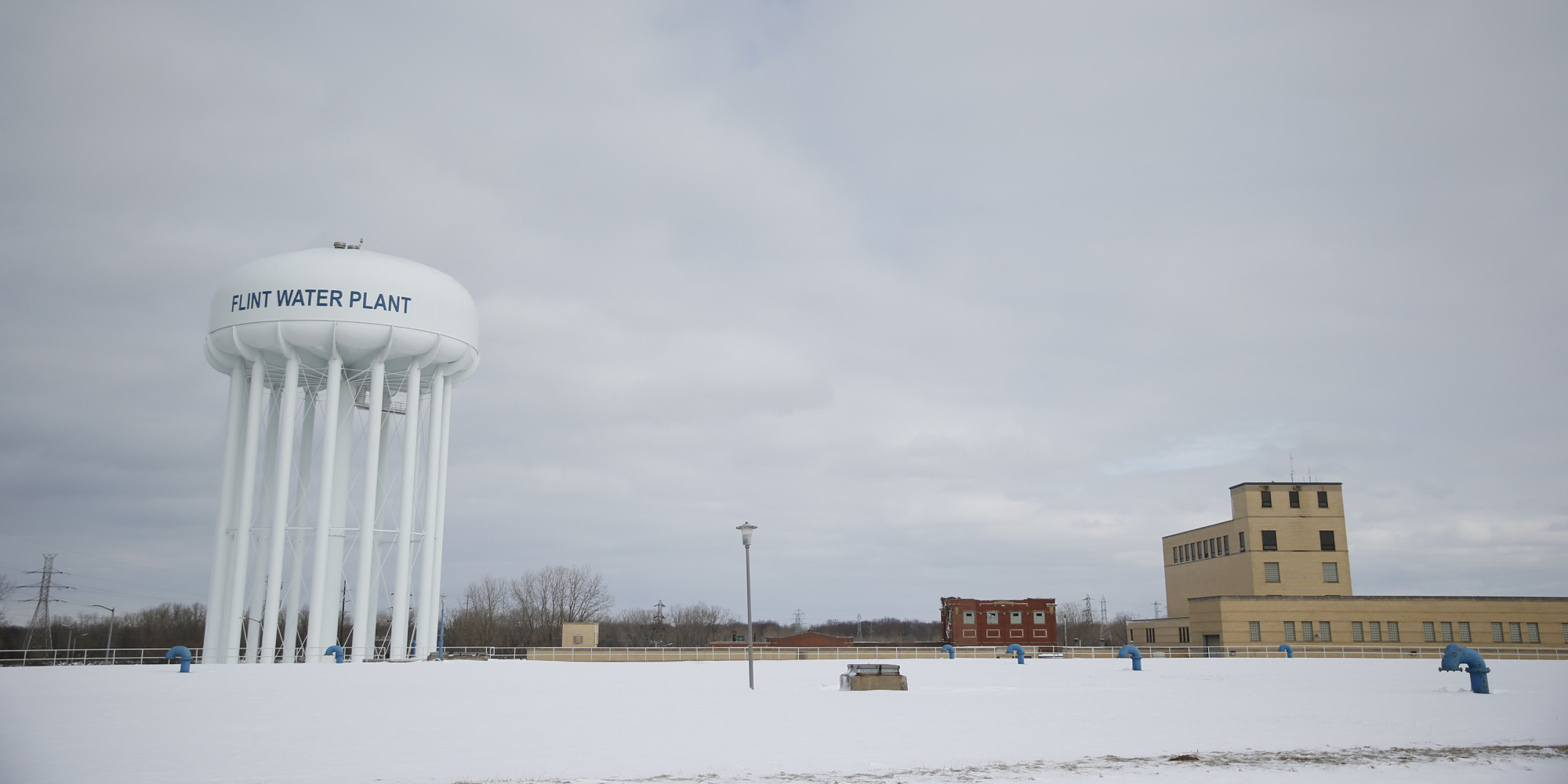 Flint The Canary in America's Coal Mine, a Call for State Surgeons